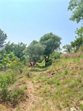 Photo numero 47811647 du bien UBI477496436